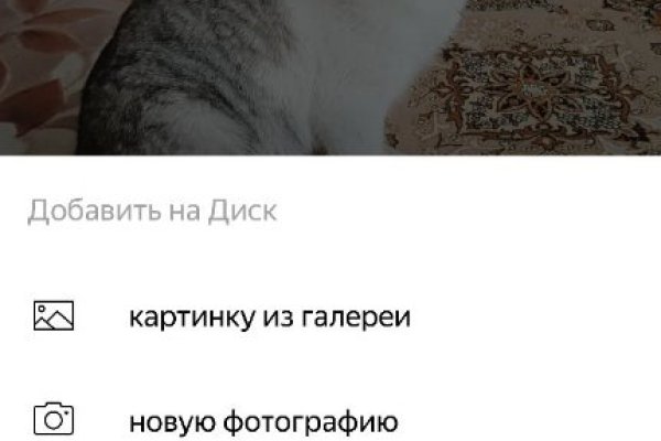 Официальная ссылка на кракен в тор