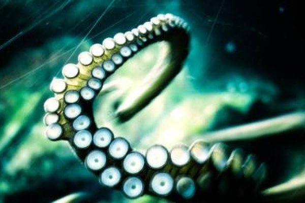 Craken12 at