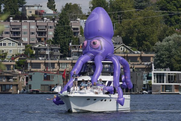 Сайт kraken whitenet