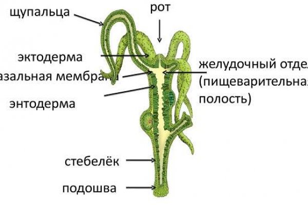 Кракен наркомаркетплейс
