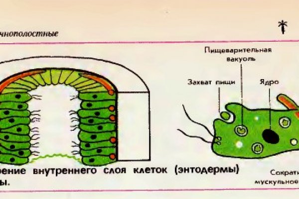 Кракен сайт наркота