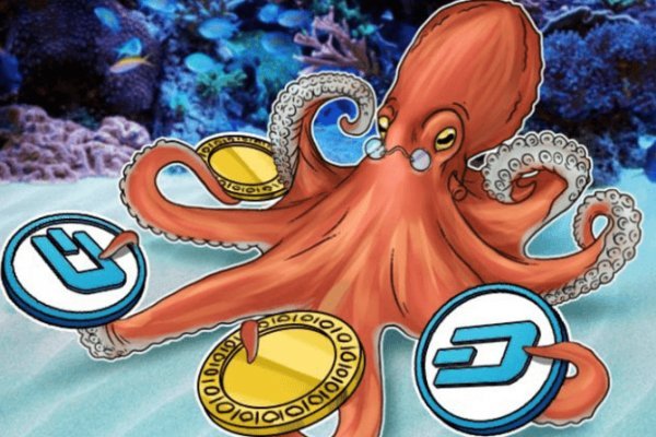 Kraken whitenet kraken whitenet 2n com