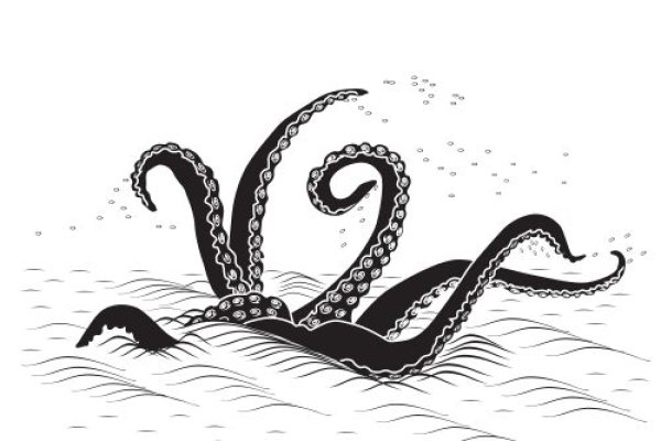 Kraken whitenet
