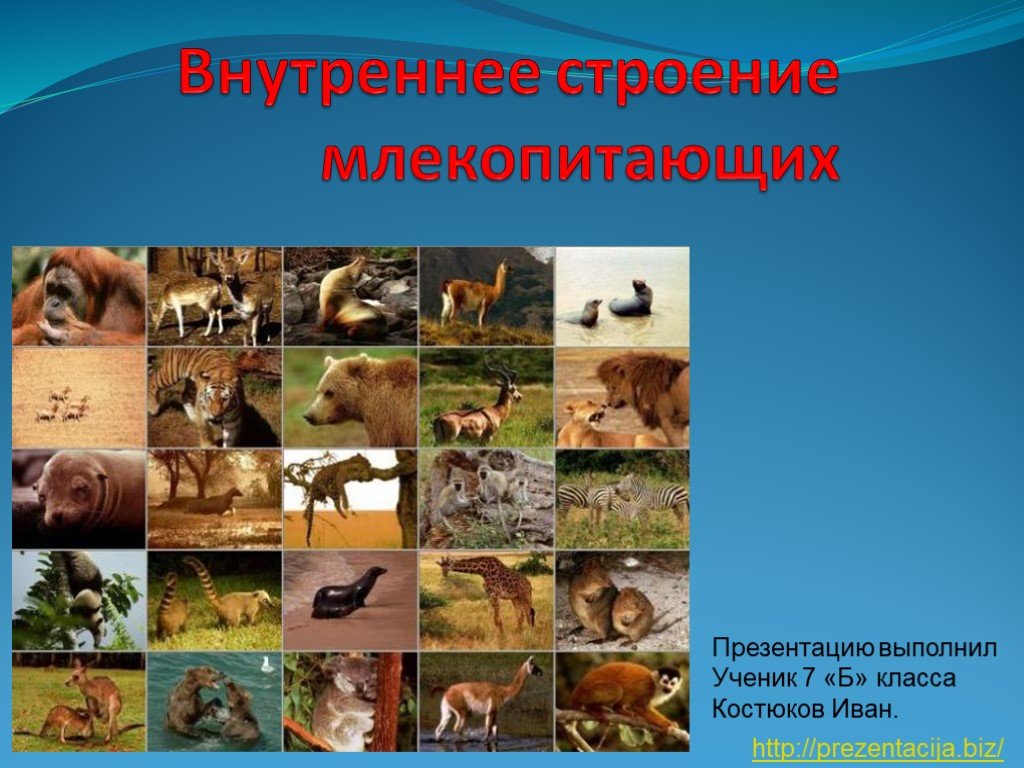 Кракен площадка вход