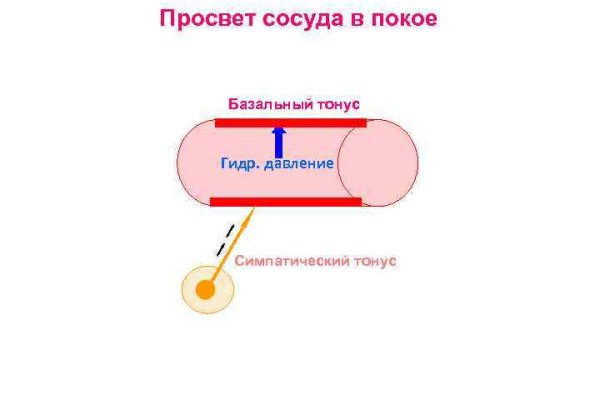 Ссылки кракен телеграф