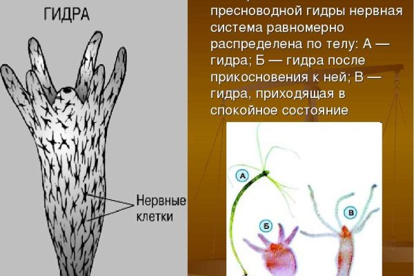Кракен маркетплейс что там