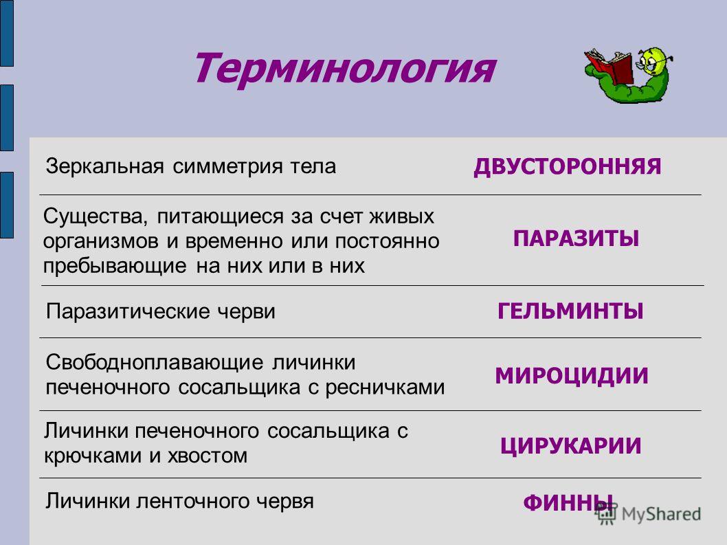 Кракен store